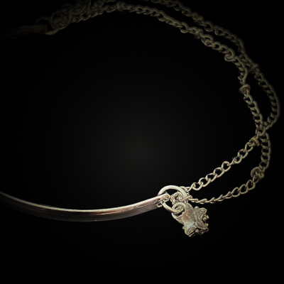 フォルトゥナ・ノクス