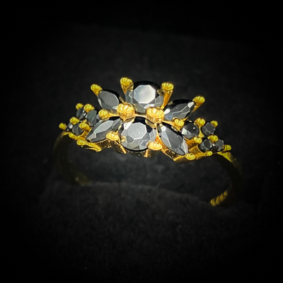 ヴェリディア・ノワエル