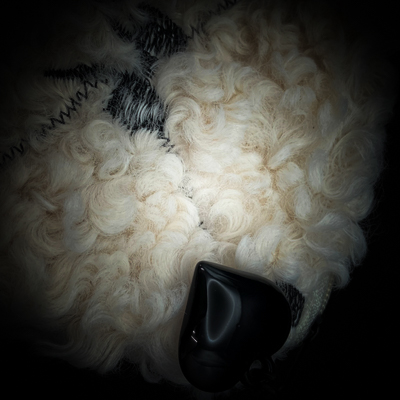 フェリディア・プロヴィータ