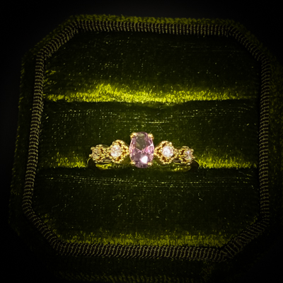 アモール・リニタス