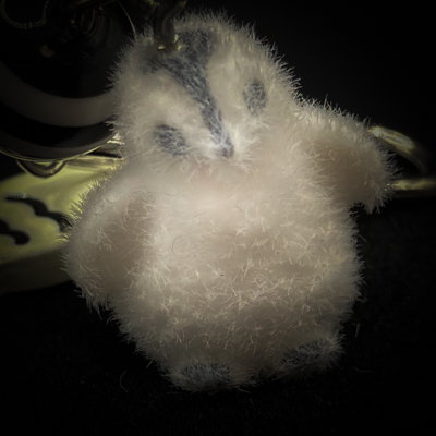 ノクス・ペンギナ
