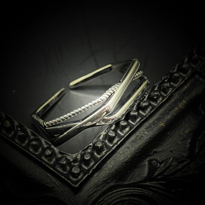 ヴェルク・リヴァイド