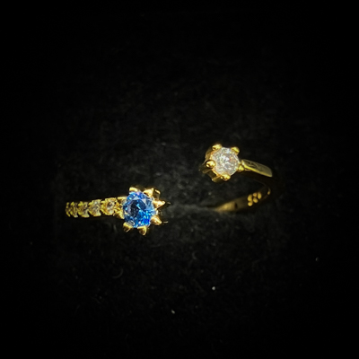 デュオ・ネクサス