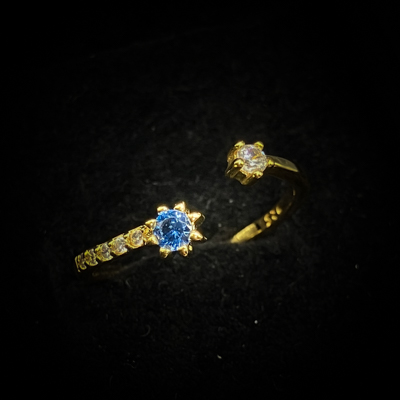 デュオ・ネクサス