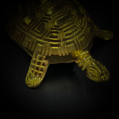 ウルム・テスタ