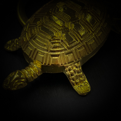 ウルム・テスタ