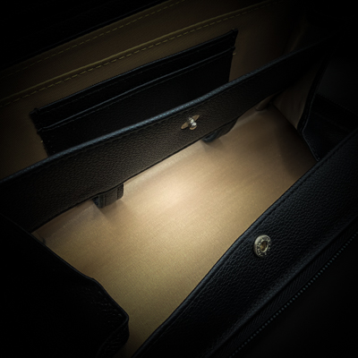 アウルム・ドミニオン