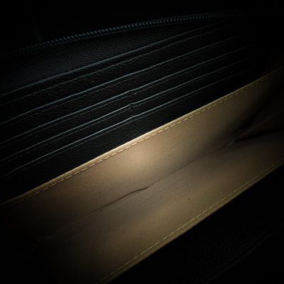 アウルム・ドミニオン